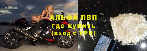 ГАЛЛЮЦИНОГЕННЫЕ ГРИБЫ Балабаново