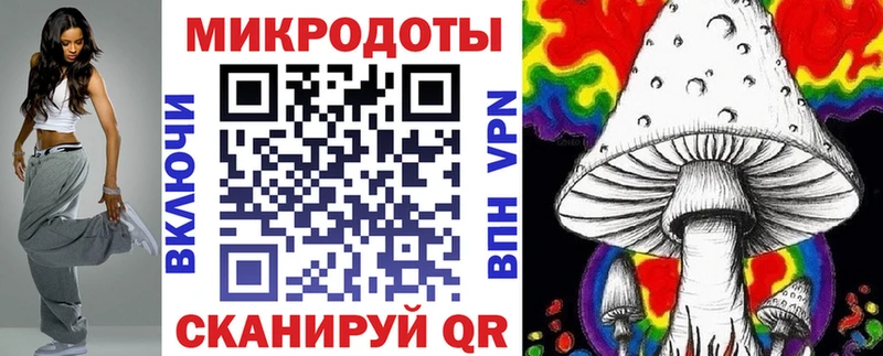 Псилоцибиновые грибы Cubensis Боровичи